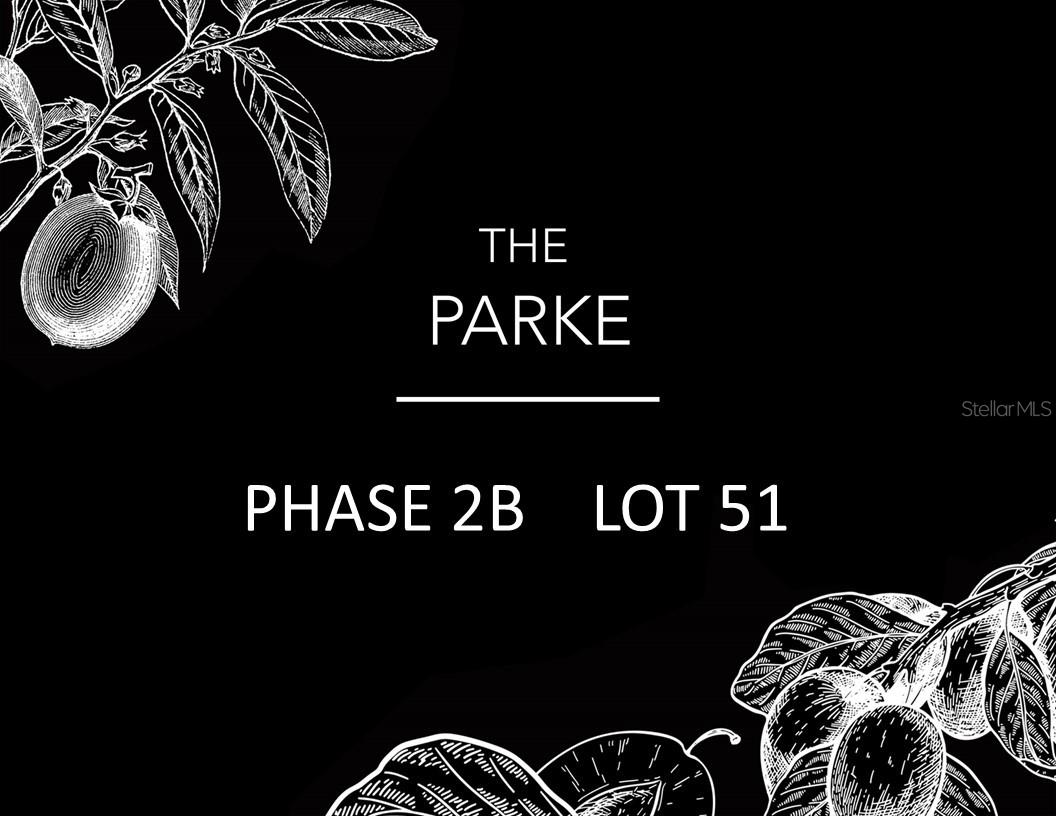  em ARCHER, FL - Daniel Dourado