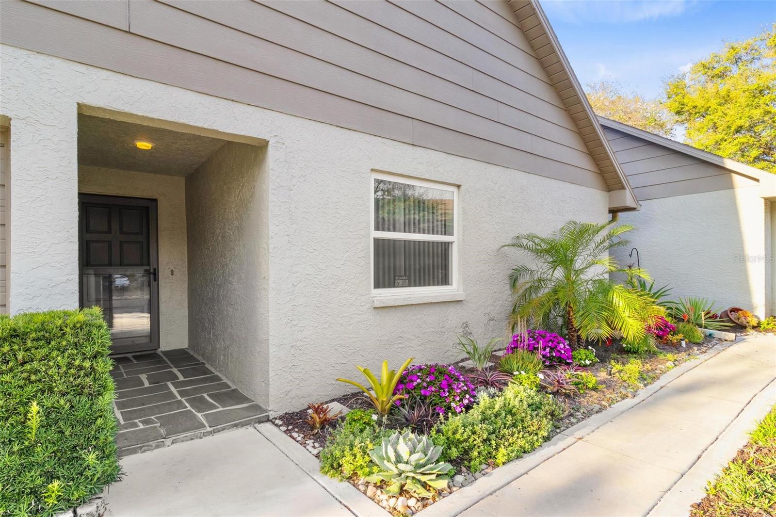 Condominium em CLEARWATER, FL - Daniel Dourado