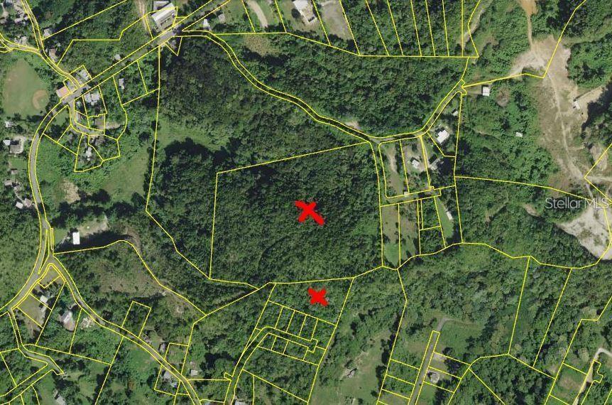  in AGUADILLA, PR - Daniel Dourado