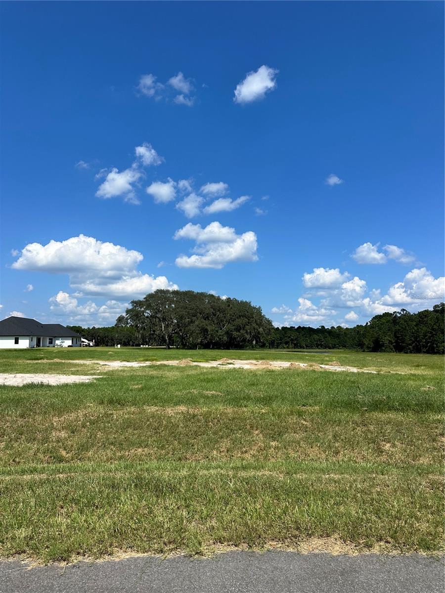  em UMATILLA, FL - Daniel Dourado