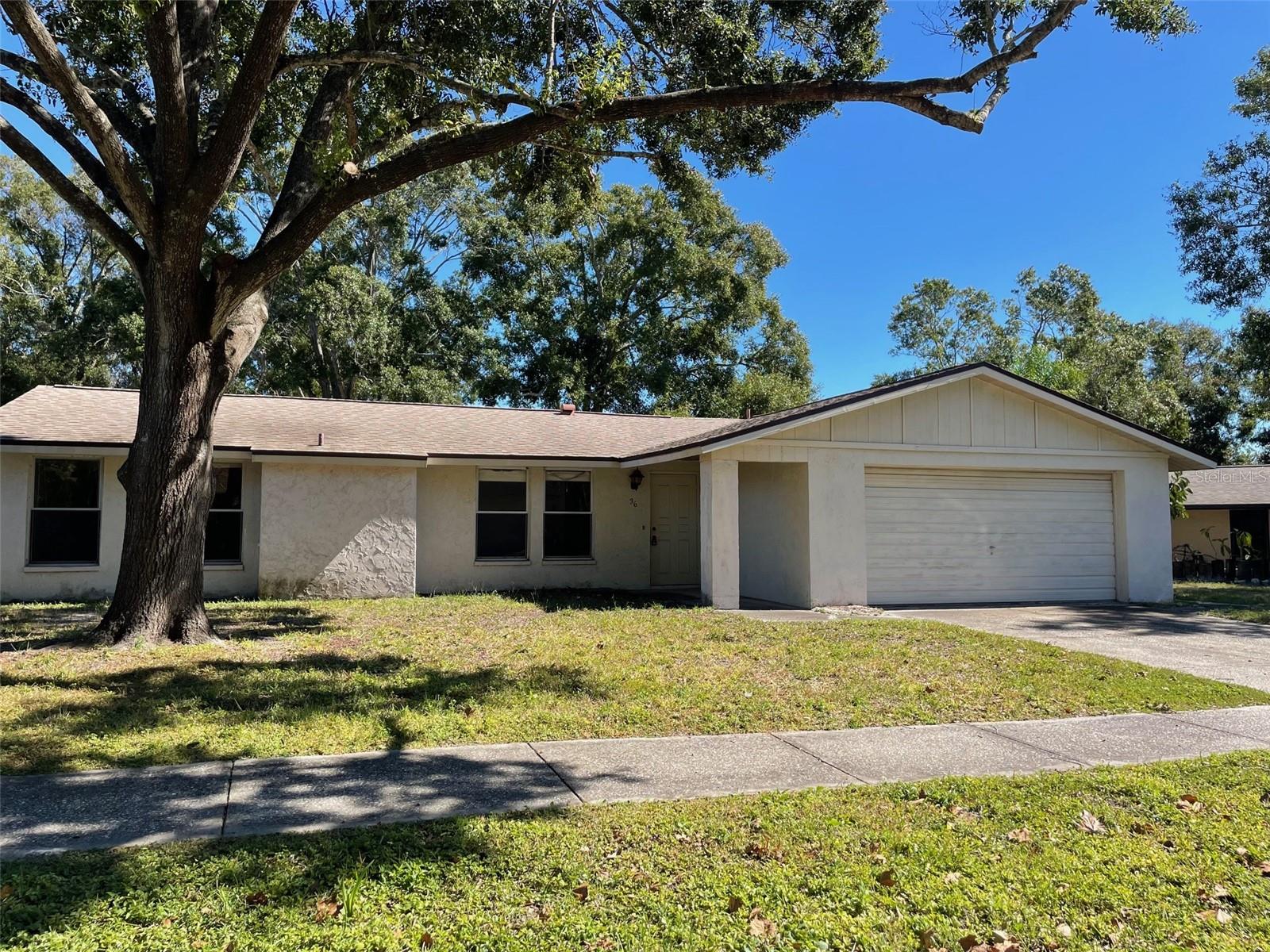 Single Family Residence em SAFETY HARBOR, FL - Daniel Dourado