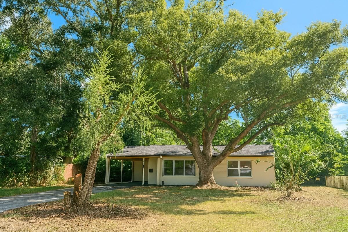 Single Family Residence em BRANDON, FL - Daniel Dourado