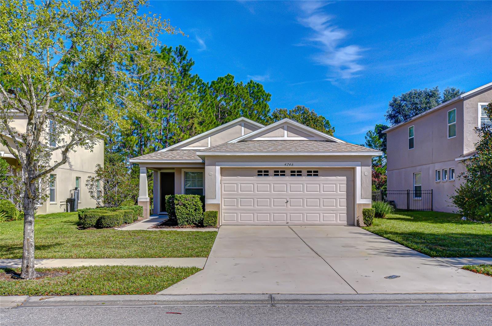Single Family Residence em WESLEY CHAPEL, FL - Daniel Dourado
