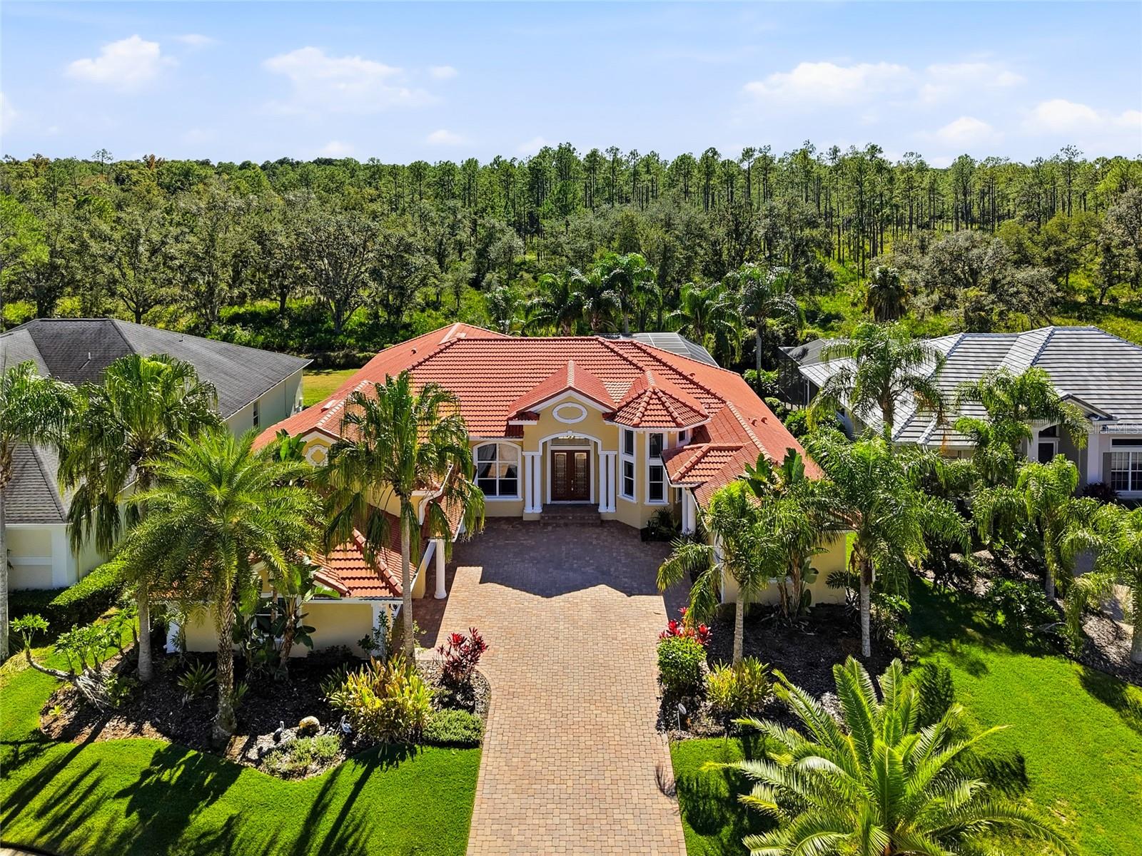 Single Family Residence em TAMPA, FL - Daniel Dourado