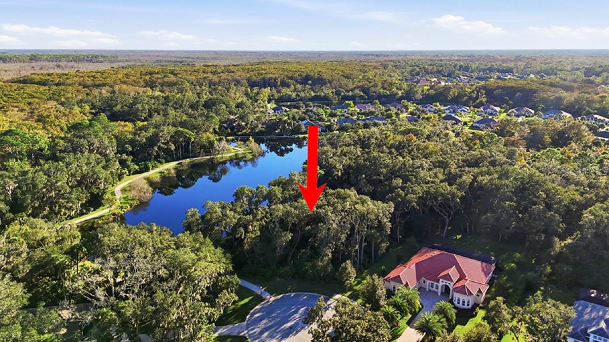  in PALM COAST, FL - Daniel Dourado