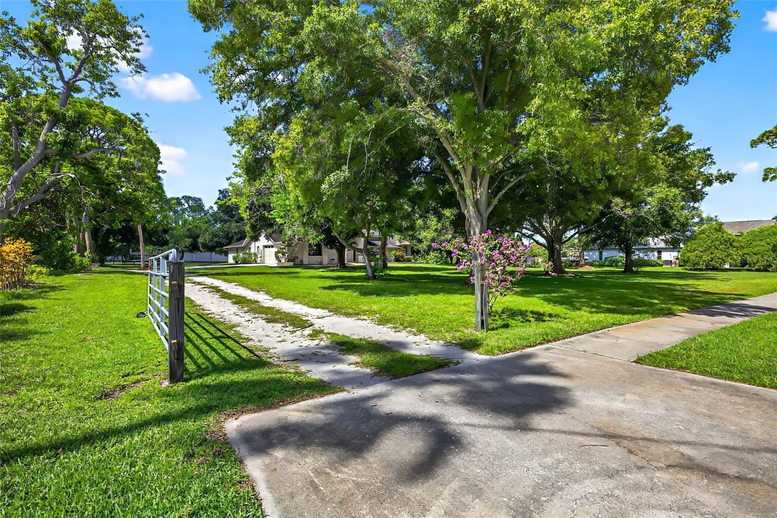 Single Family Residence em PINELLAS PARK, FL - Daniel Dourado