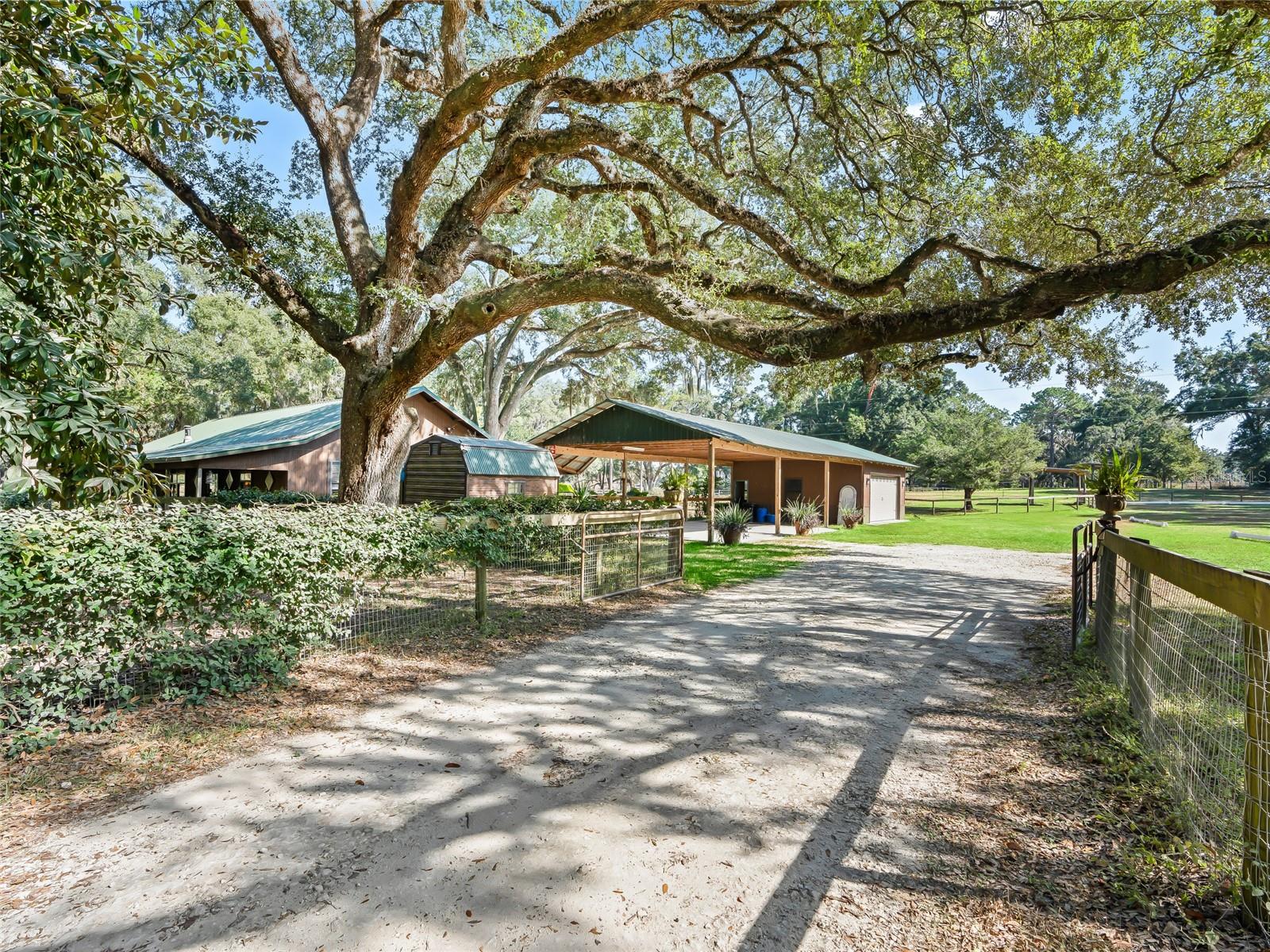 Single Family Residence em WILLISTON, FL - Daniel Dourado