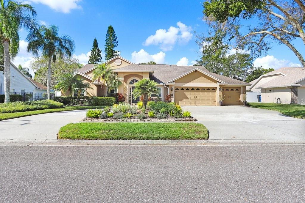 Single Family Residence em ODESSA, FL - Daniel Dourado