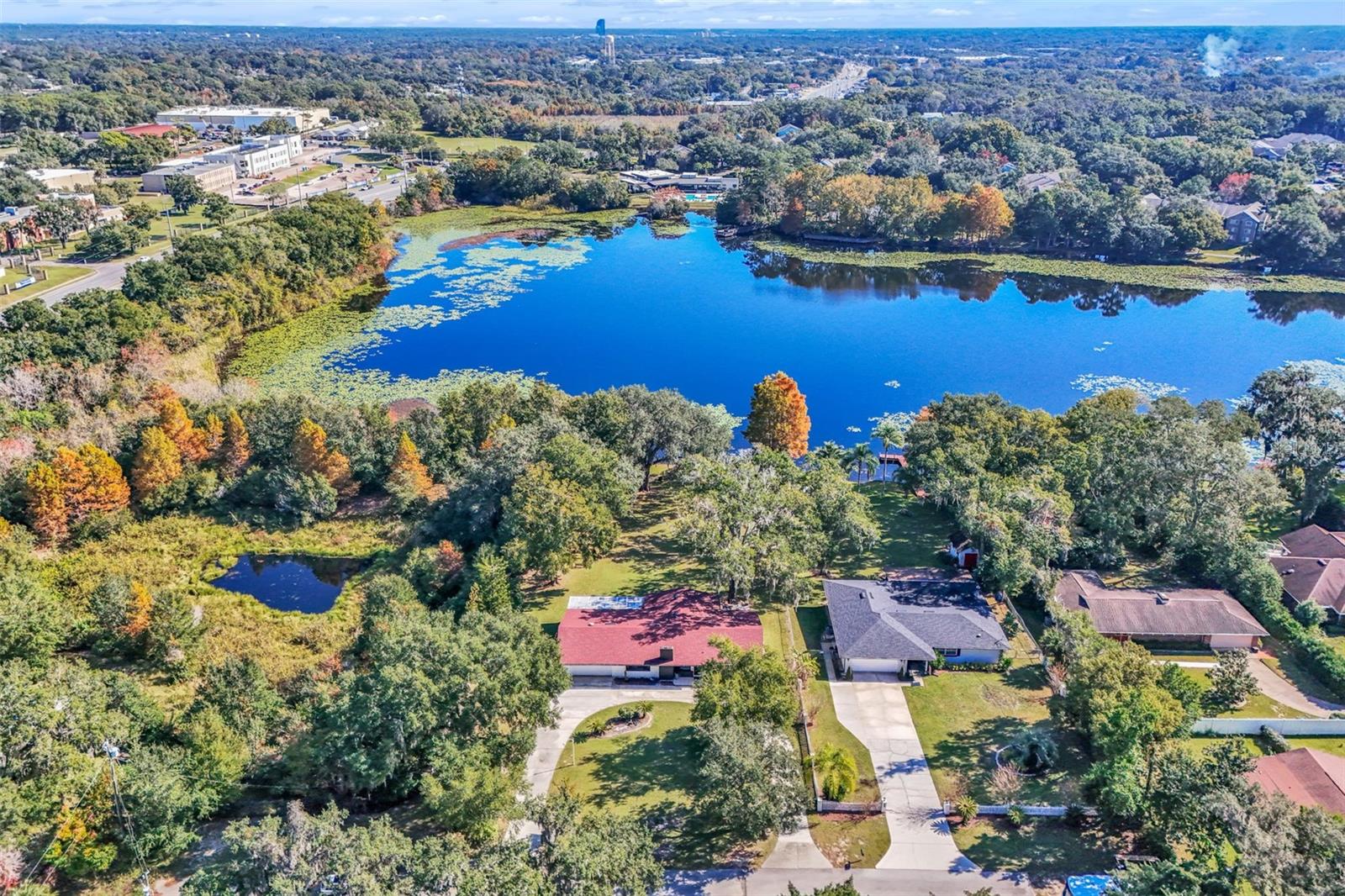 Single Family Residence em APOPKA, FL - Daniel Dourado