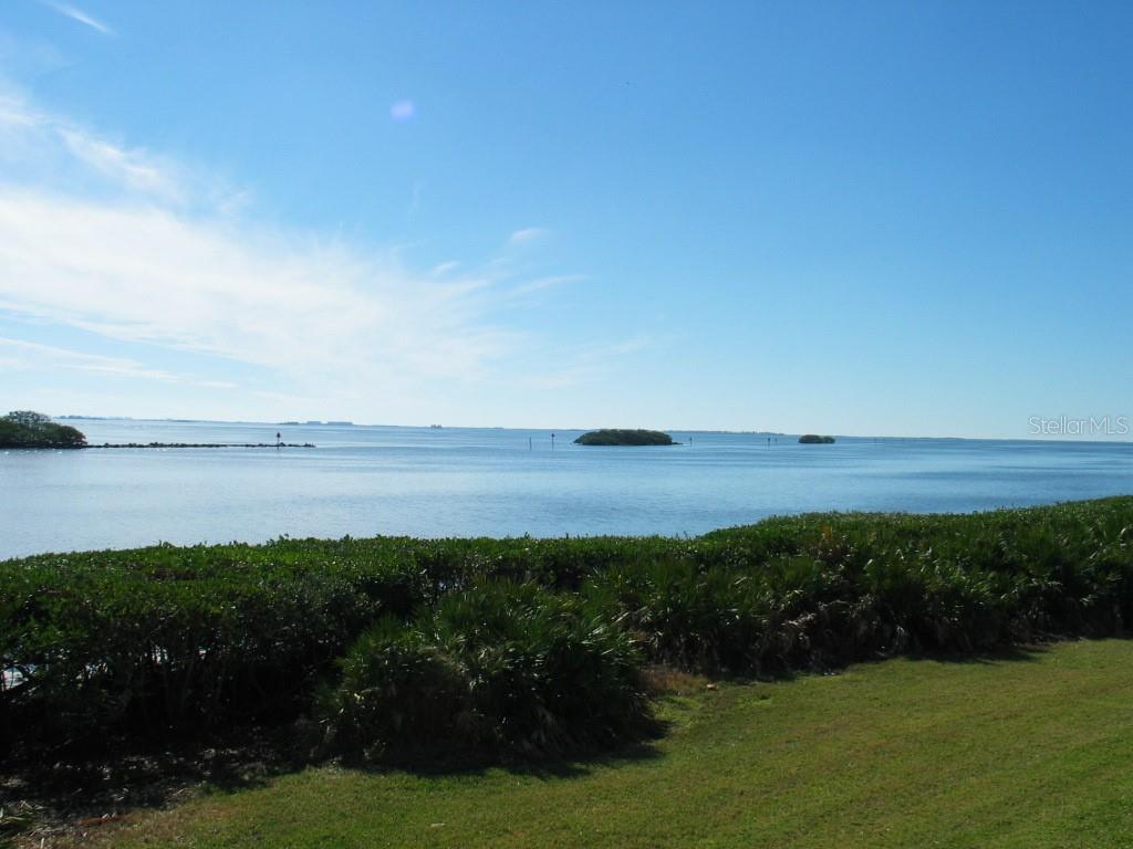 Condominium em TARPON SPRINGS, FL - Daniel Dourado