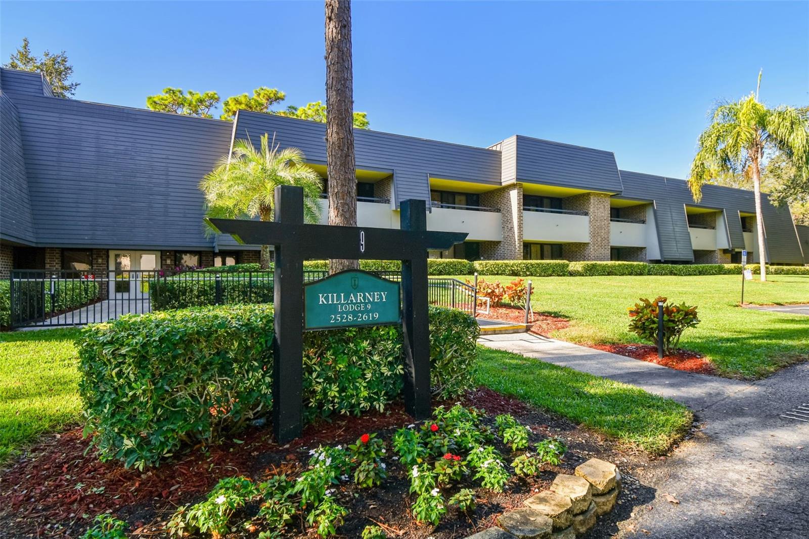 Condominium in PALM HARBOR, FL - Daniel Dourado