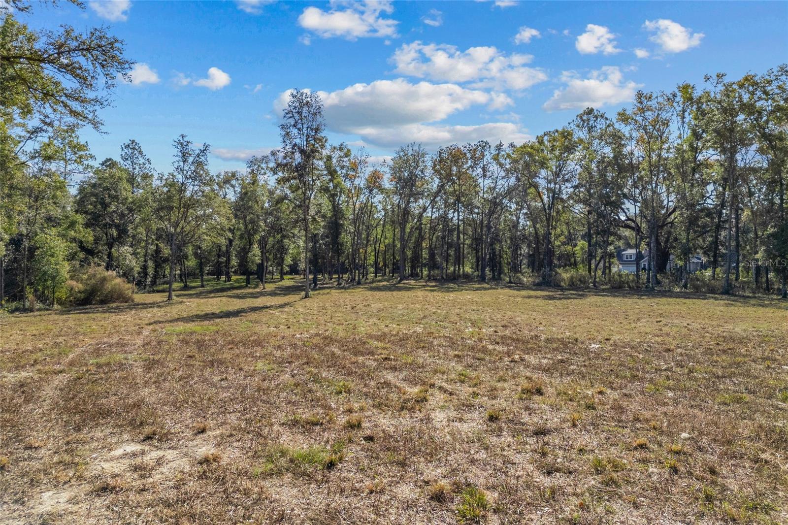  em NEWBERRY, FL - Daniel Dourado