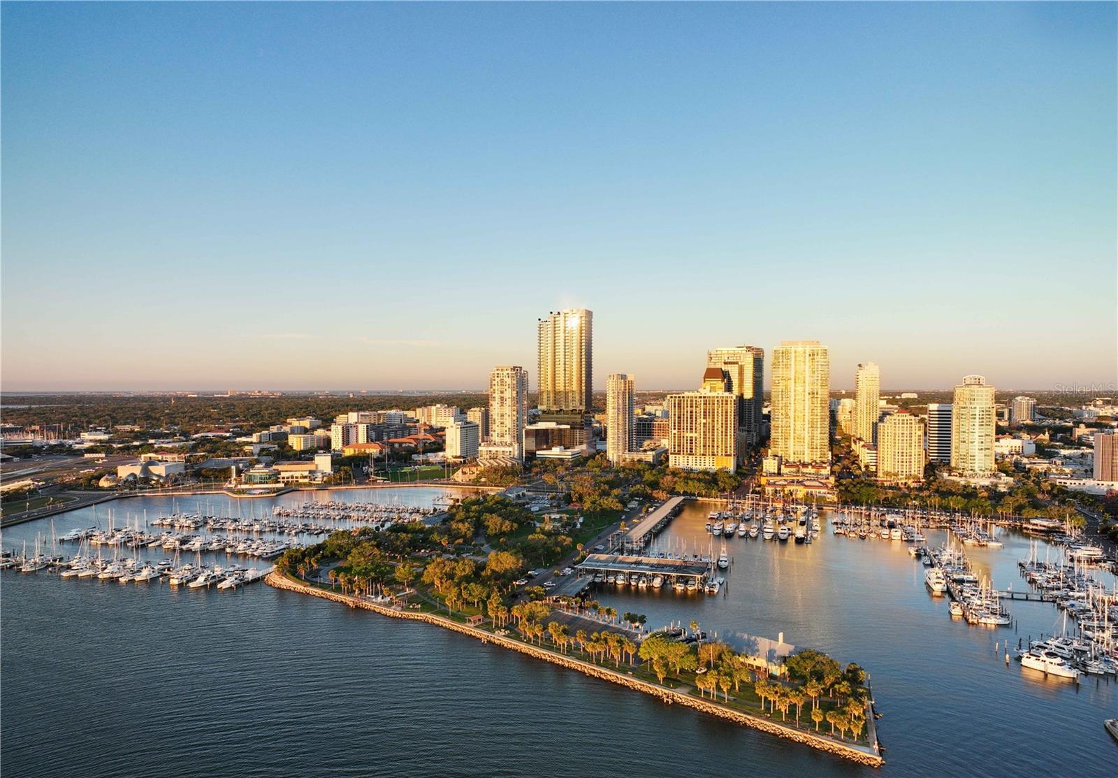 Condominium em ST PETERSBURG, FL - Daniel Dourado