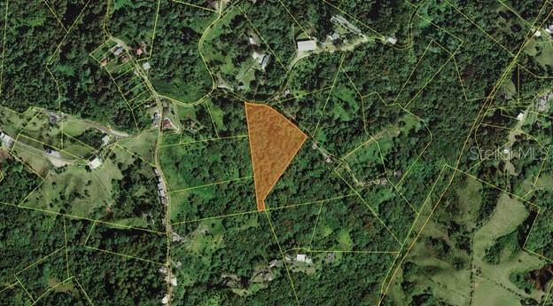  em JUNCOS, PR - Daniel Dourado