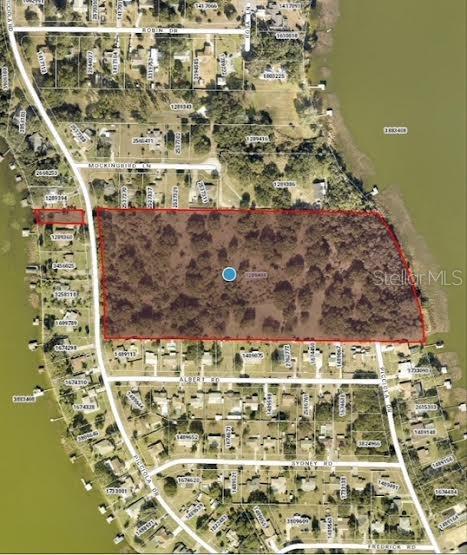  em FRUITLAND PARK, FL - Daniel Dourado