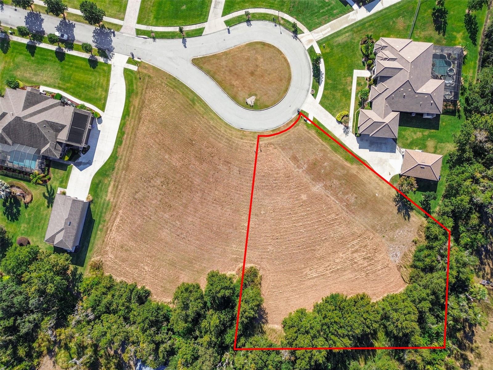  em LITHIA, FL - Daniel Dourado