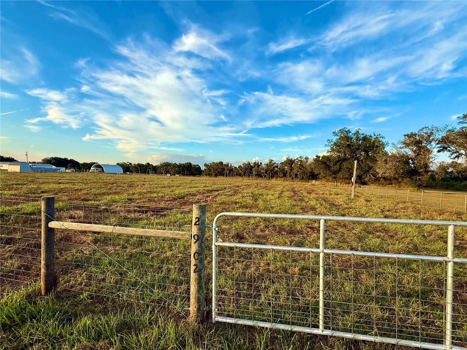  in ARCADIA, FL - Daniel Dourado