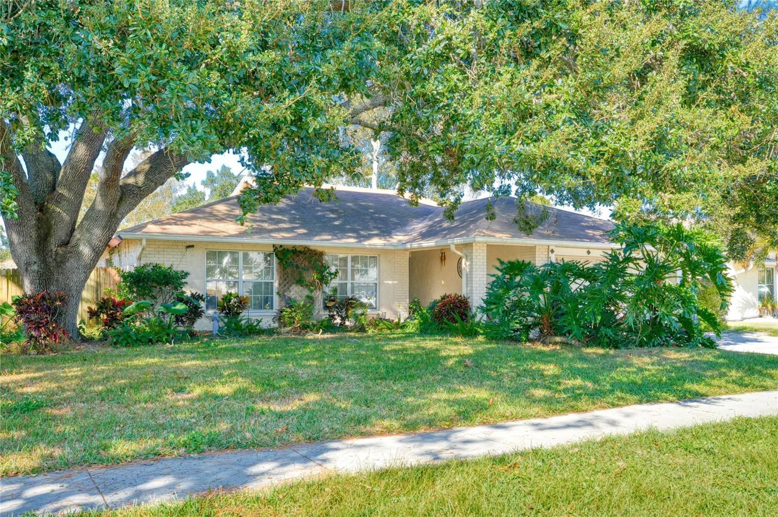 Single Family Residence in PALM HARBOR, FL - Daniel Dourado