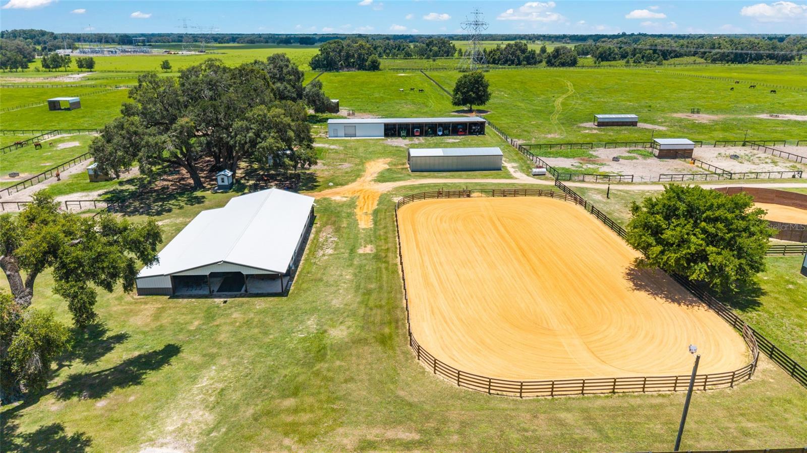 Farm in WILDWOOD, FL - Daniel Dourado