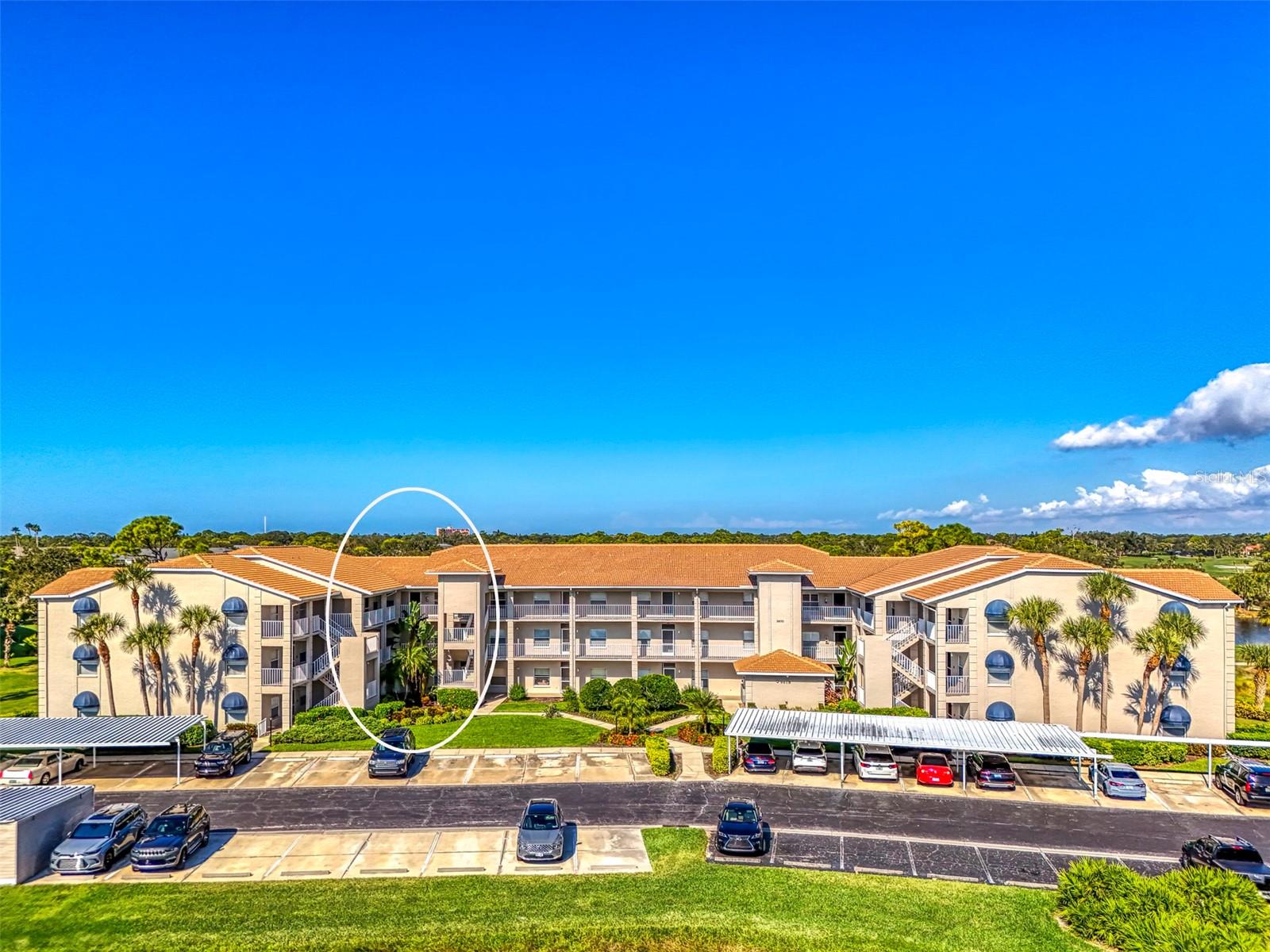 Condominium em SARASOTA, FL - Daniel Dourado
