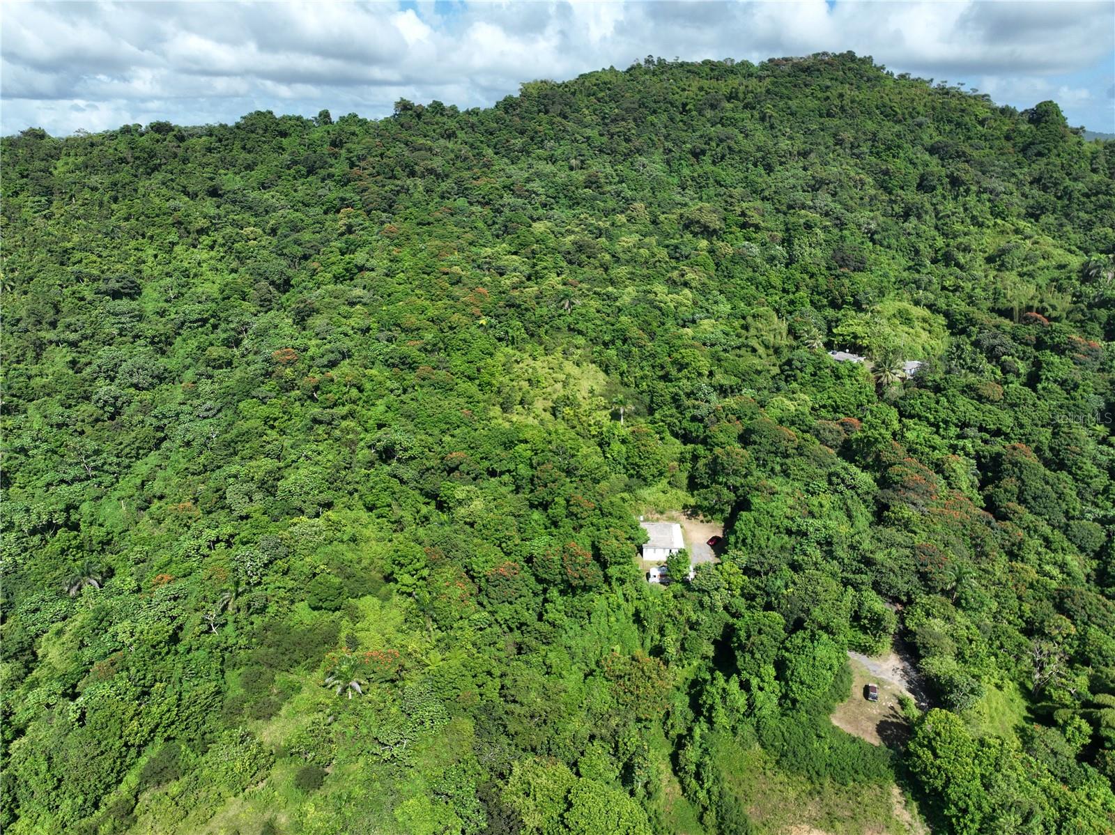Agriculture em SAN LORENZO, PR - Daniel Dourado