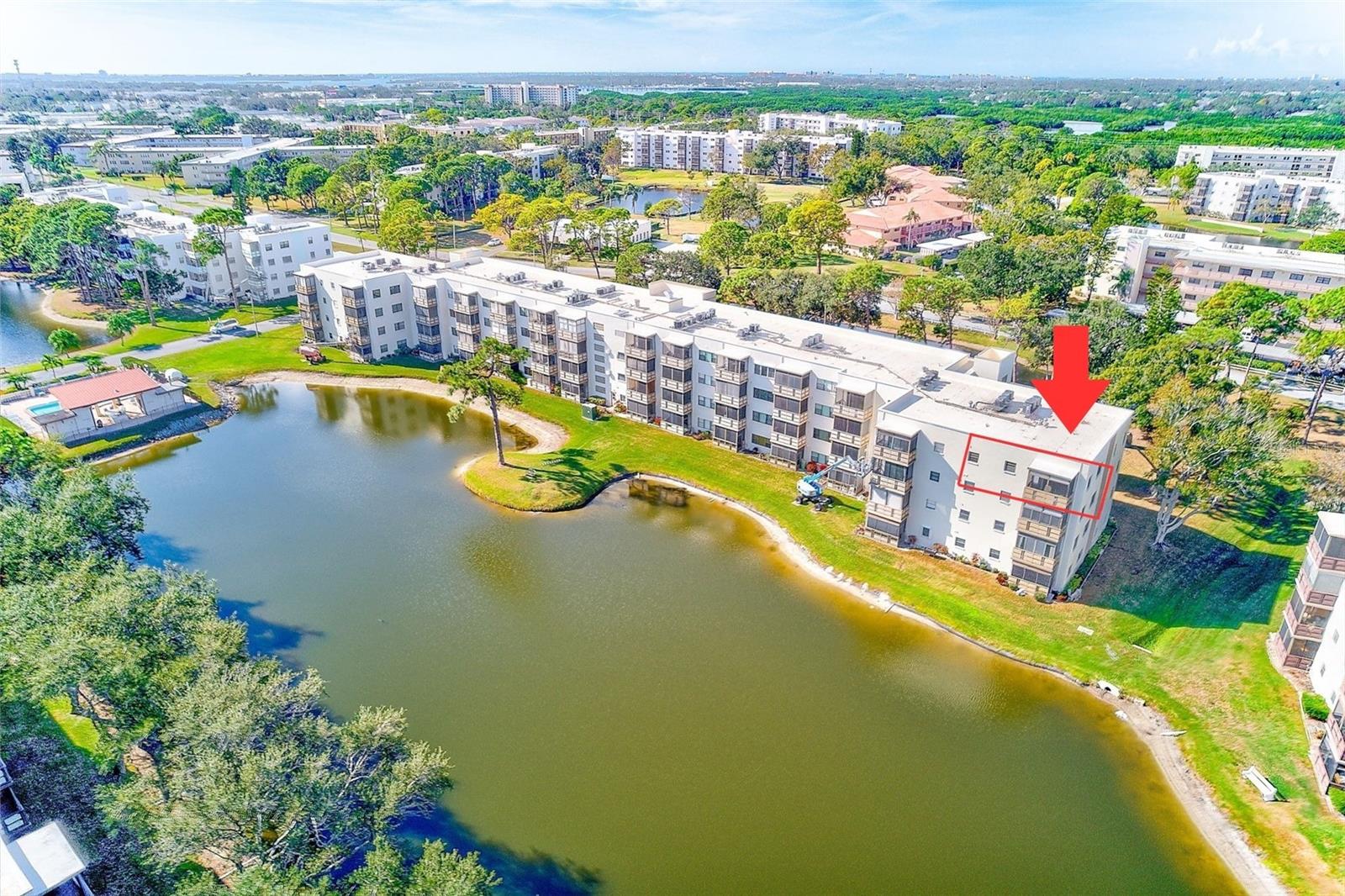 Condominium em ST PETERSBURG, FL - Daniel Dourado