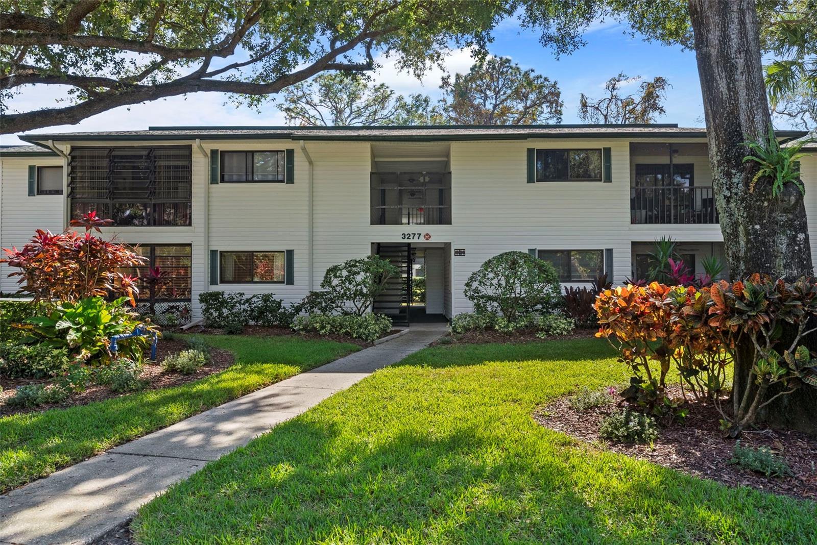Condominium in PALM HARBOR, FL - Daniel Dourado