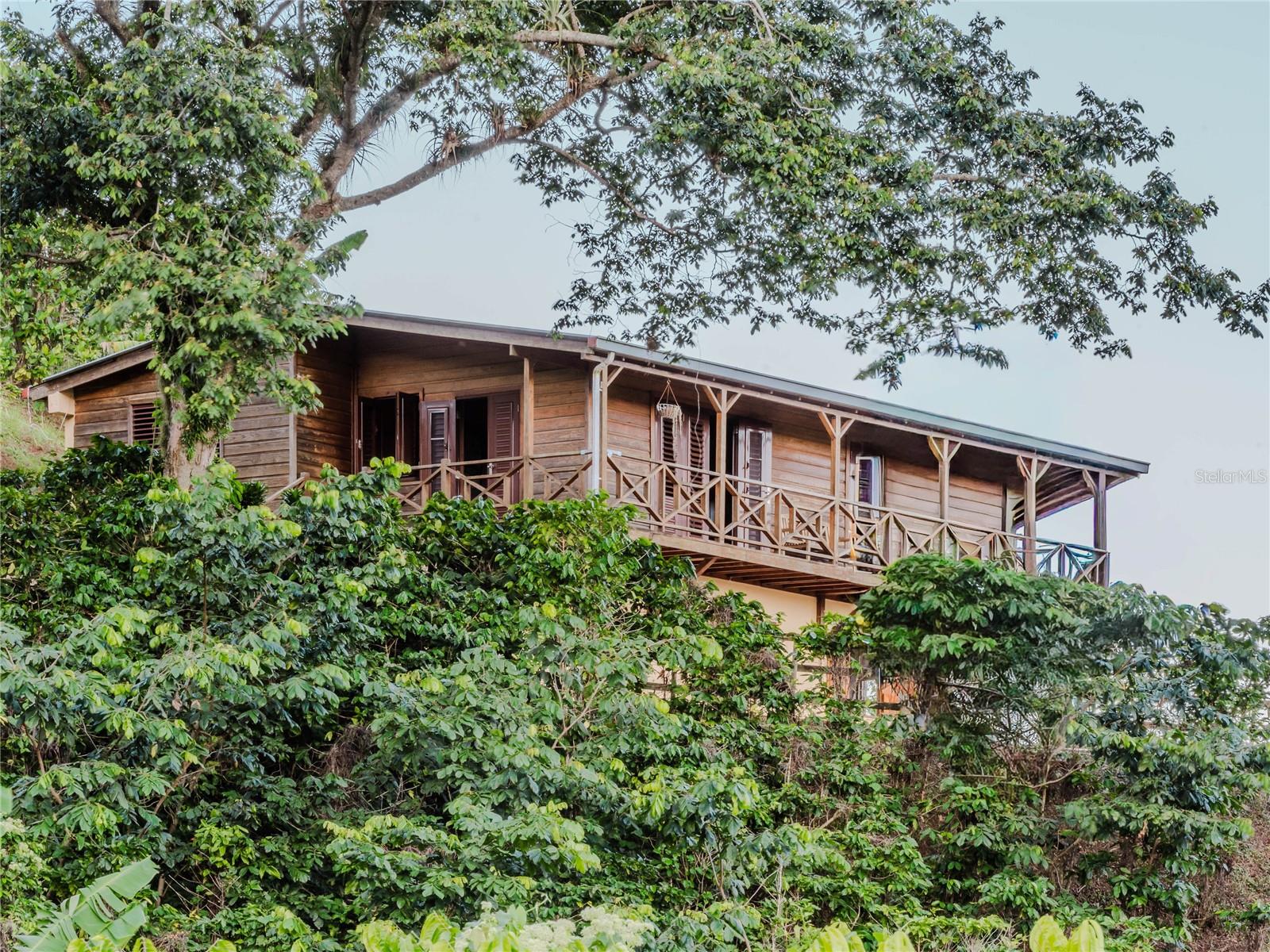 Farm in ADJUNTAS, PR - Daniel Dourado