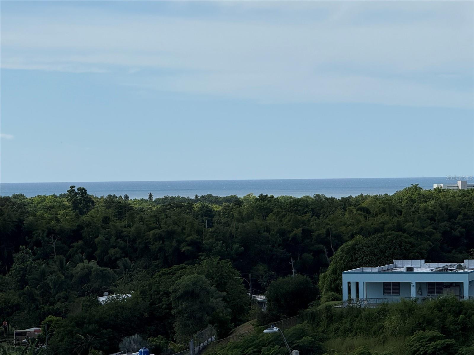  in RINCON, PR - Daniel Dourado