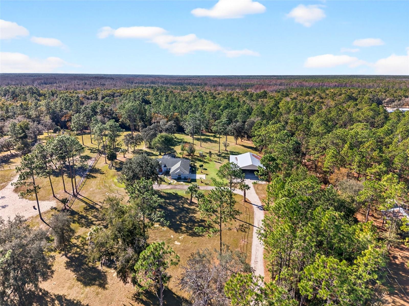 Single Family Residence in MORRISTON, FL - Daniel Dourado