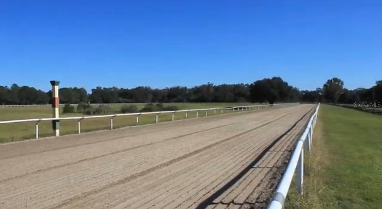 Single Family Residence in REDDICK, FL - Daniel Dourado