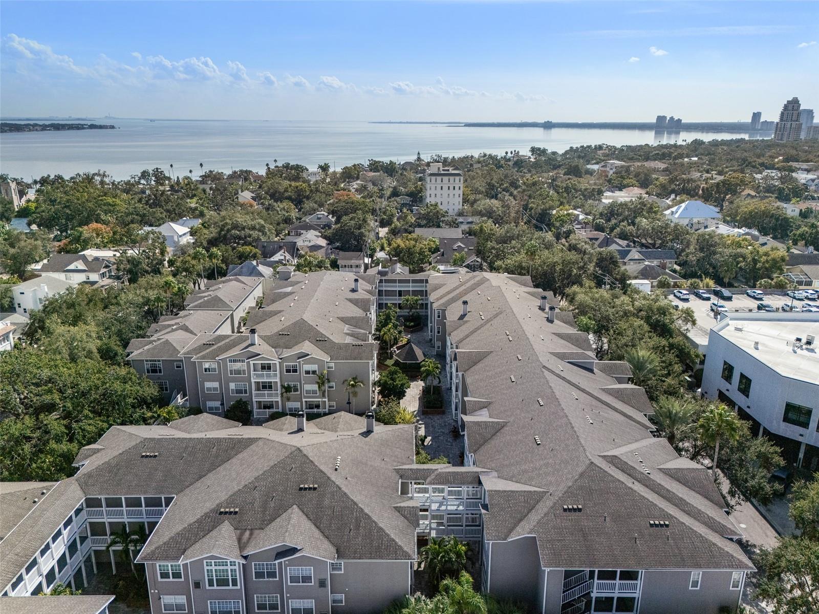 Condominium in TAMPA, FL - Daniel Dourado