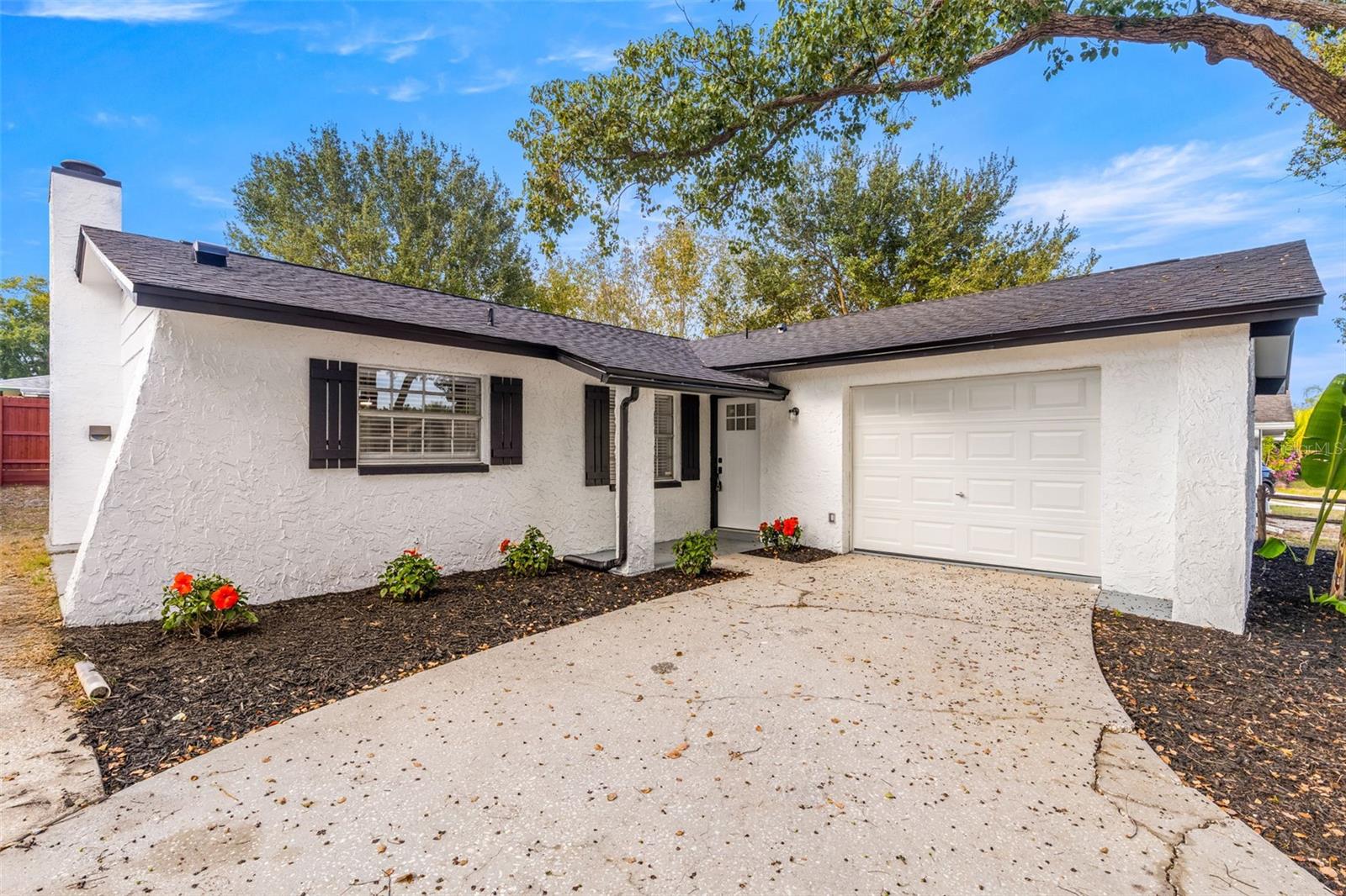 Single Family Residence em TARPON SPRINGS, FL - Daniel Dourado