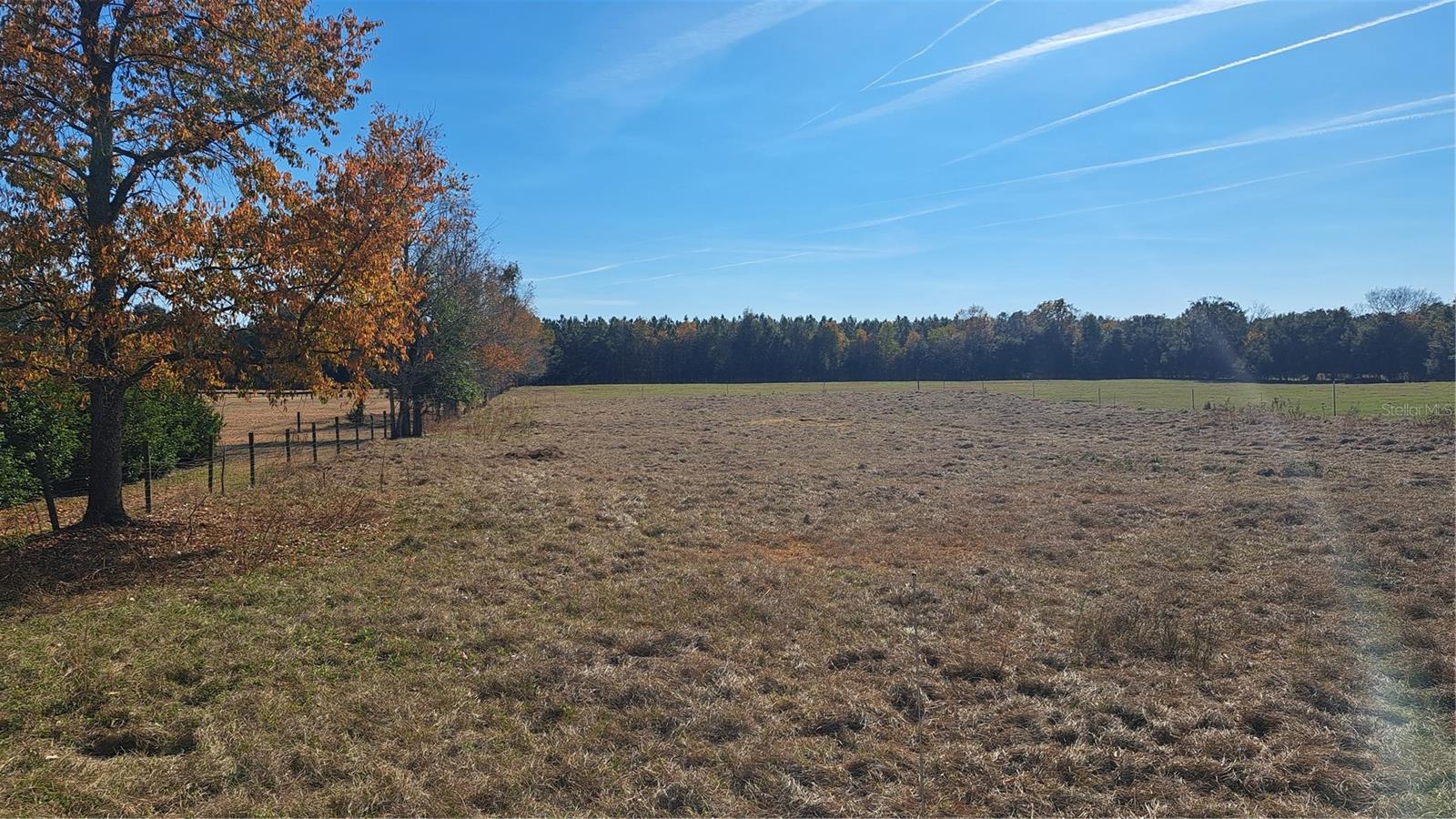  em ALACHUA, FL - Daniel Dourado