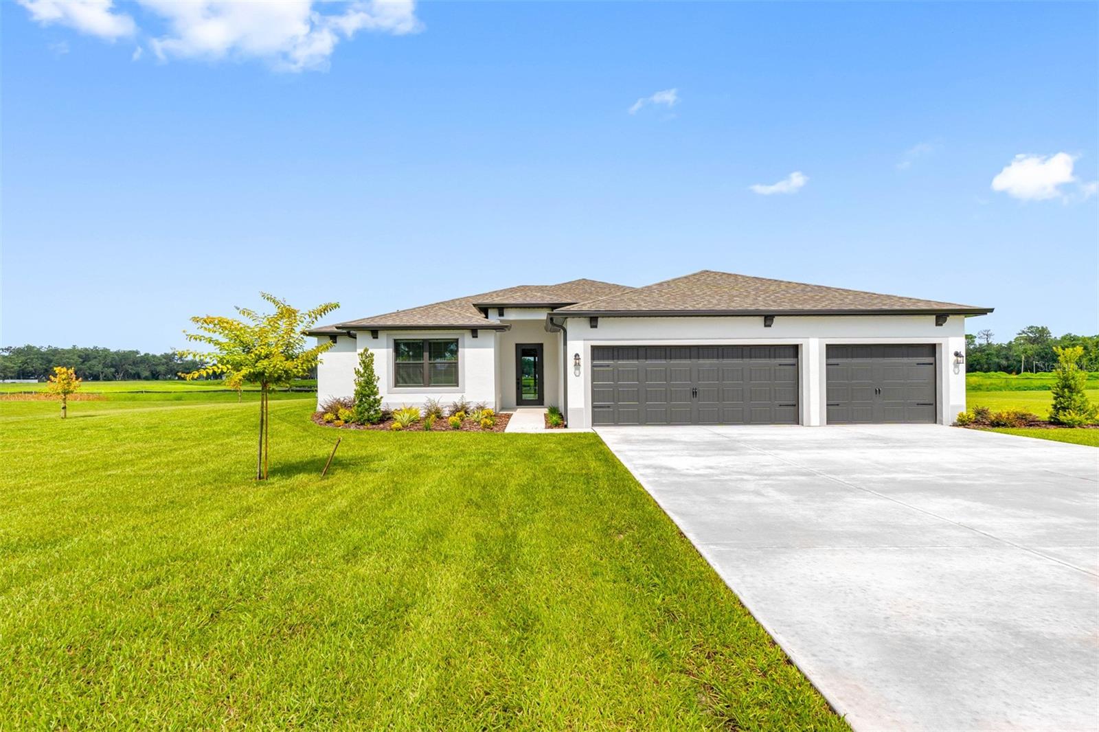 Single Family Residence in DOVER, FL - Daniel Dourado