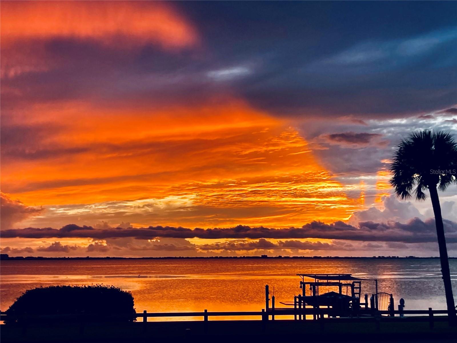 Single Family Residence in SARASOTA, FL - Daniel Dourado