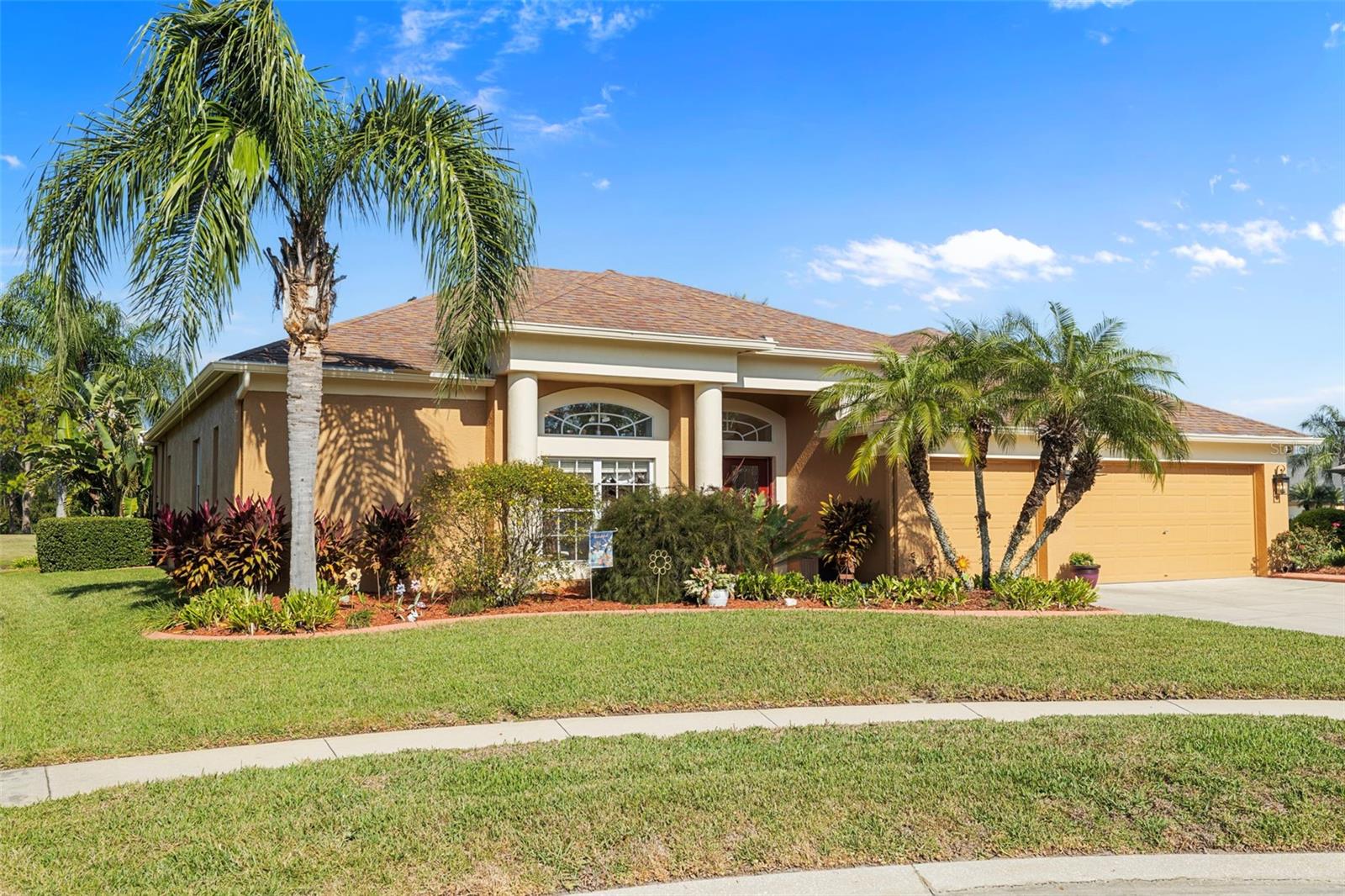 Single Family Residence em WESLEY CHAPEL, FL - Daniel Dourado