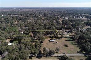  em CITRA, FL - Daniel Dourado