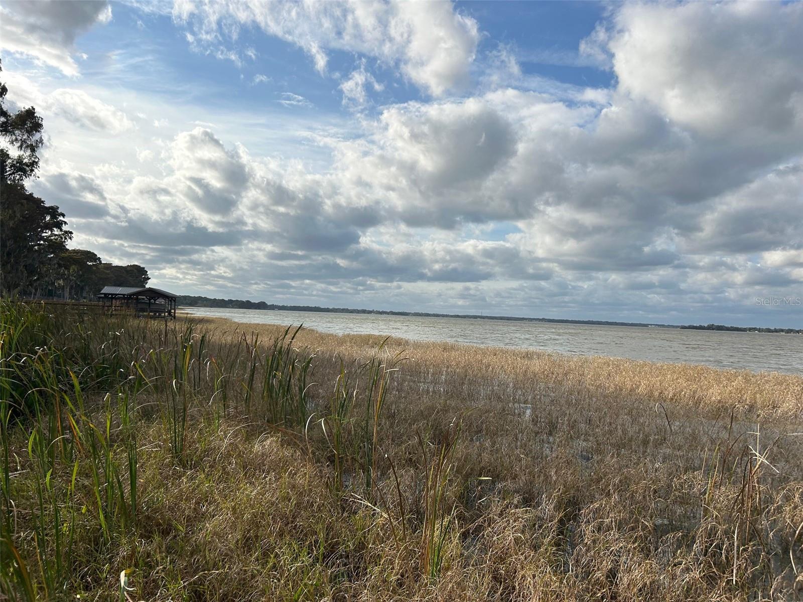  em LEESBURG, FL - Daniel Dourado