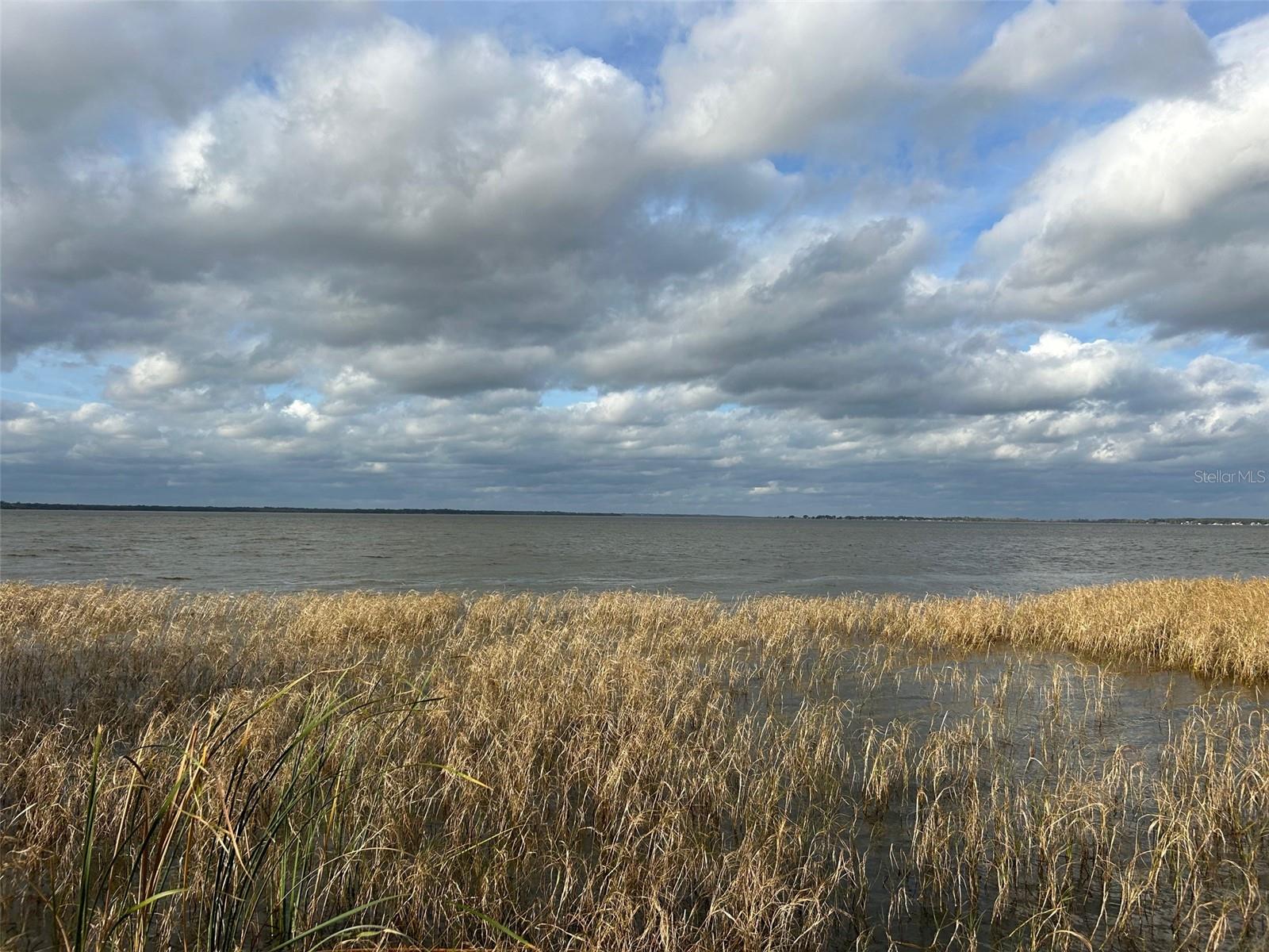  em LEESBURG, FL - Daniel Dourado