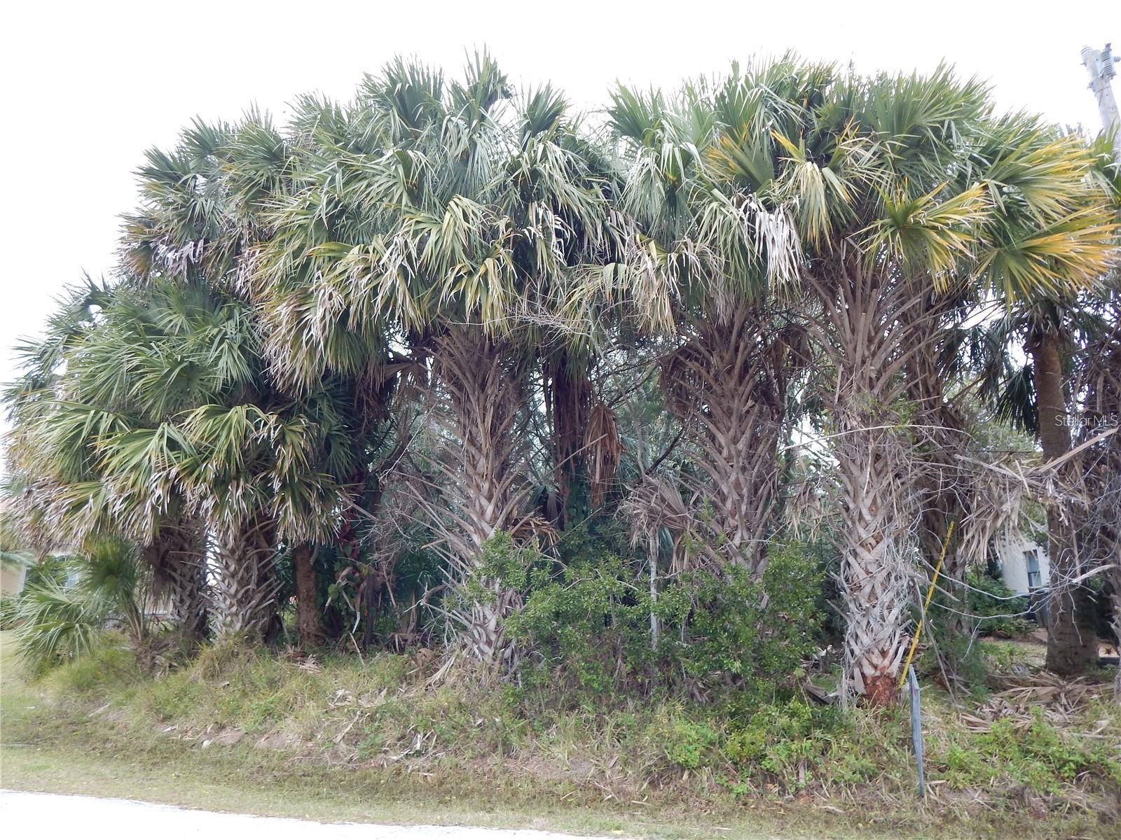  in PALM COAST, FL - Daniel Dourado