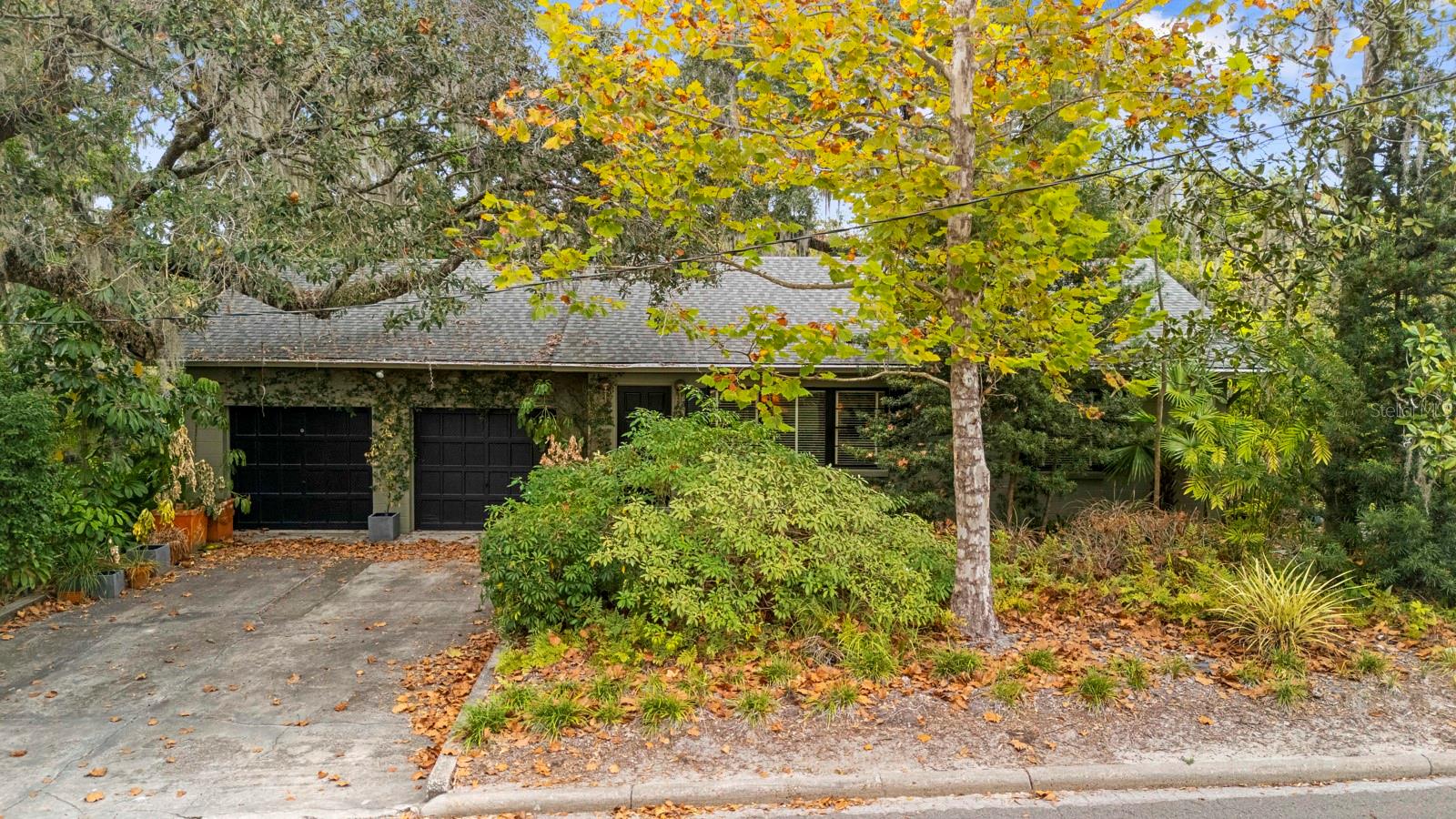 Single Family Residence in TEMPLE TERRACE, FL - Daniel Dourado