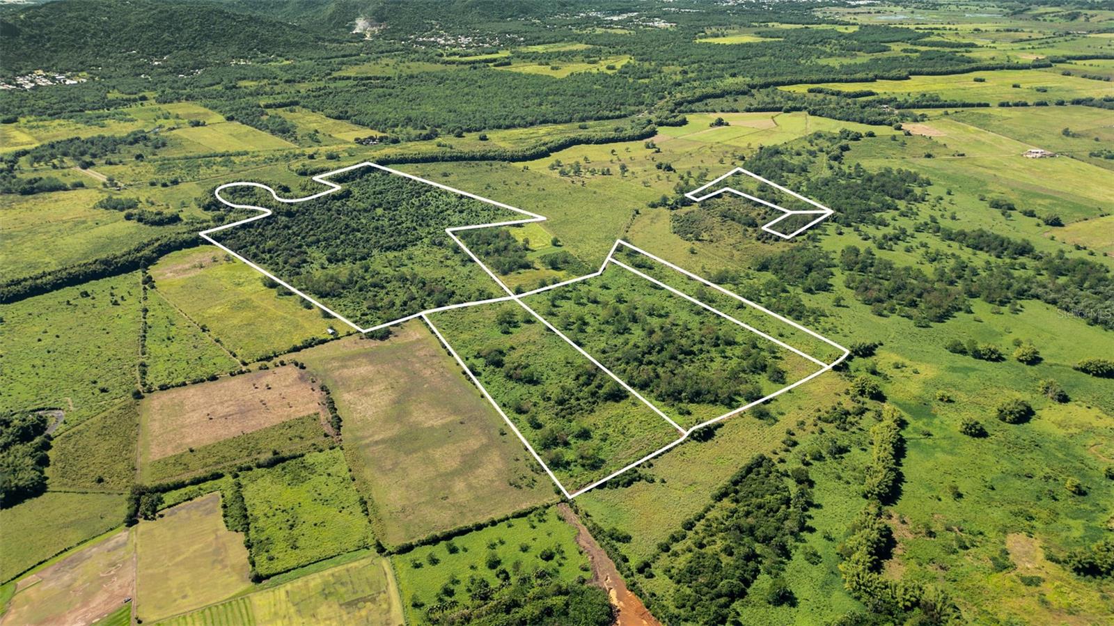  em HORMIGUEROS, PR - Daniel Dourado