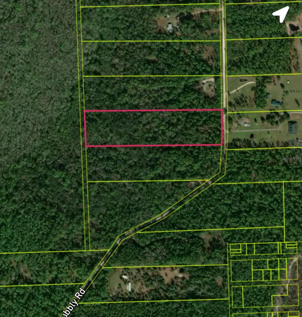  em PIERSON, FL - Daniel Dourado