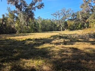  in BROOKSVILLE, FL - Daniel Dourado