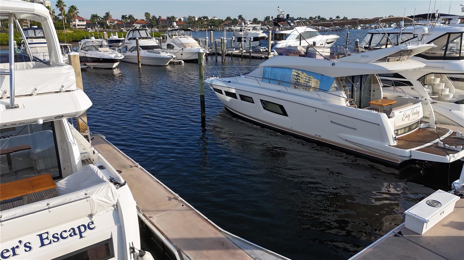 Dock-Rackominium em PALMETTO, FL - Daniel Dourado