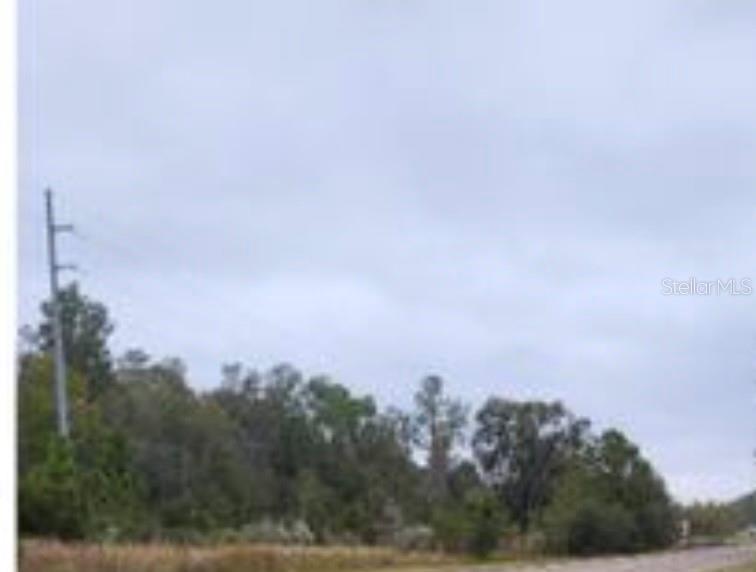  em SPRING HILL, FL - Daniel Dourado