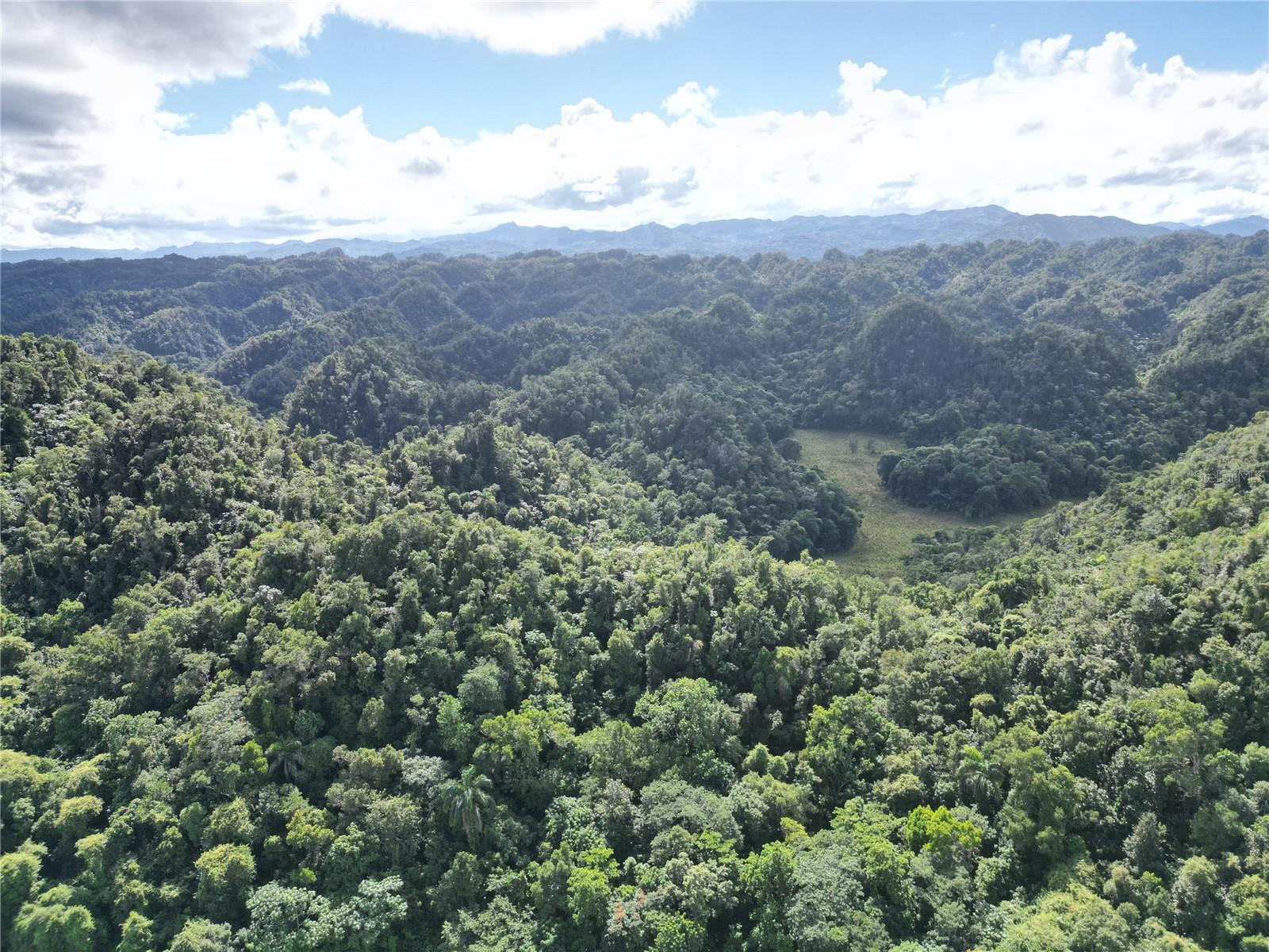  em SABANA HOYOS, PR - Daniel Dourado