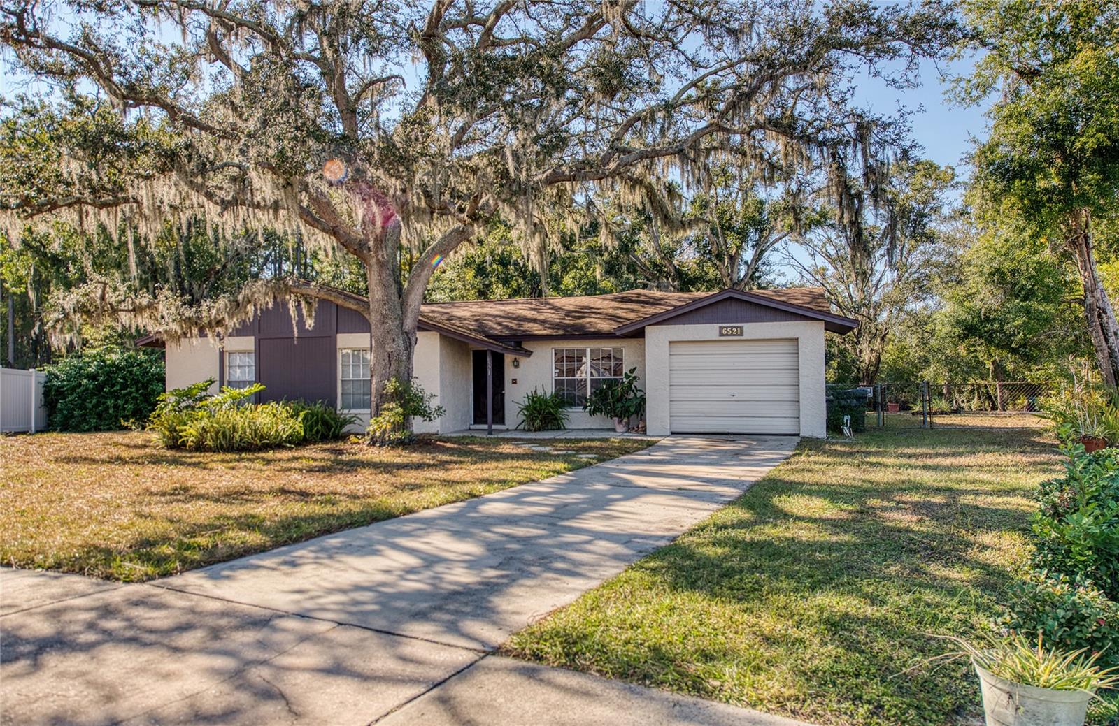 Single Family Residence in TAMPA, FL - Daniel Dourado