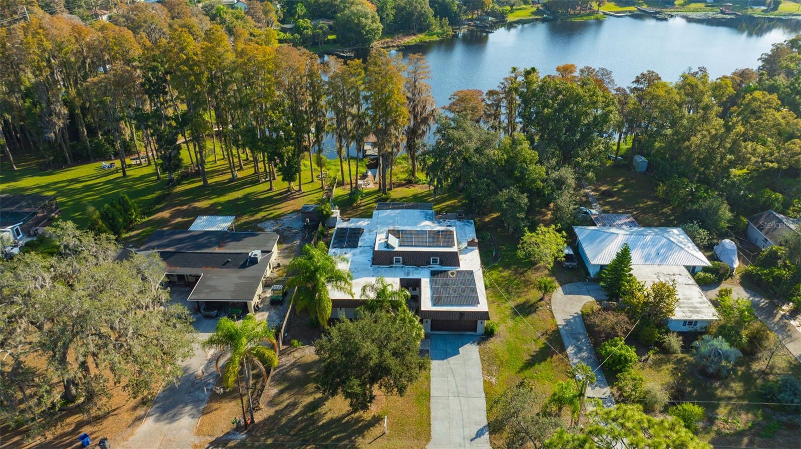 Single Family Residence in LUTZ, FL - Daniel Dourado